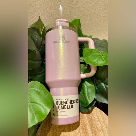 Aster Stanley Tumbler 40oz. Target June 2024 Collection - Picture 3 of 14